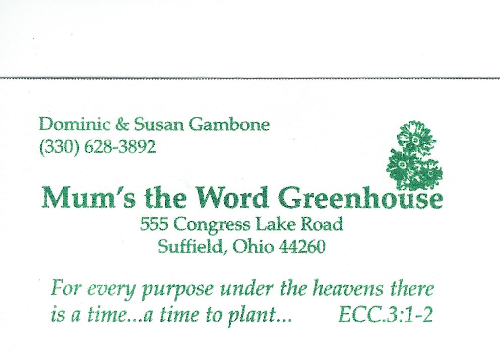 Nick Susan Gambone