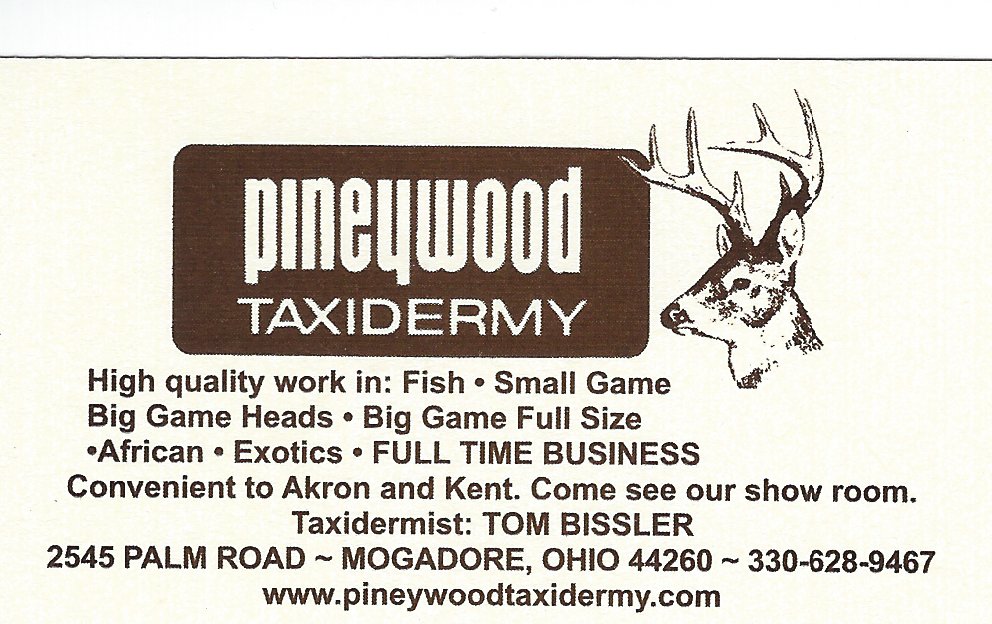 Tom Bissler Pineywood Taxidermy